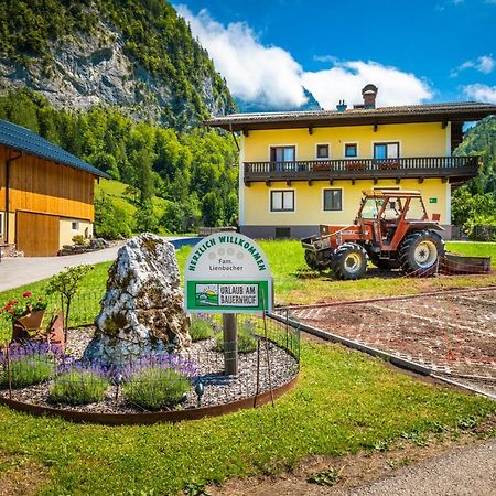 Bed and Breakfast Hinterkellaubauer Kuchl Exterior foto