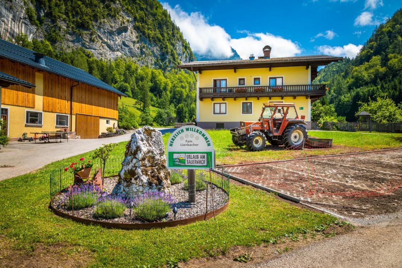 Bed and Breakfast Hinterkellaubauer Kuchl Exterior foto